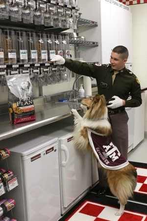 Reveille with her primary caretaker, Cody Gulley Reveille with her primary caretaker, Cody Gulley